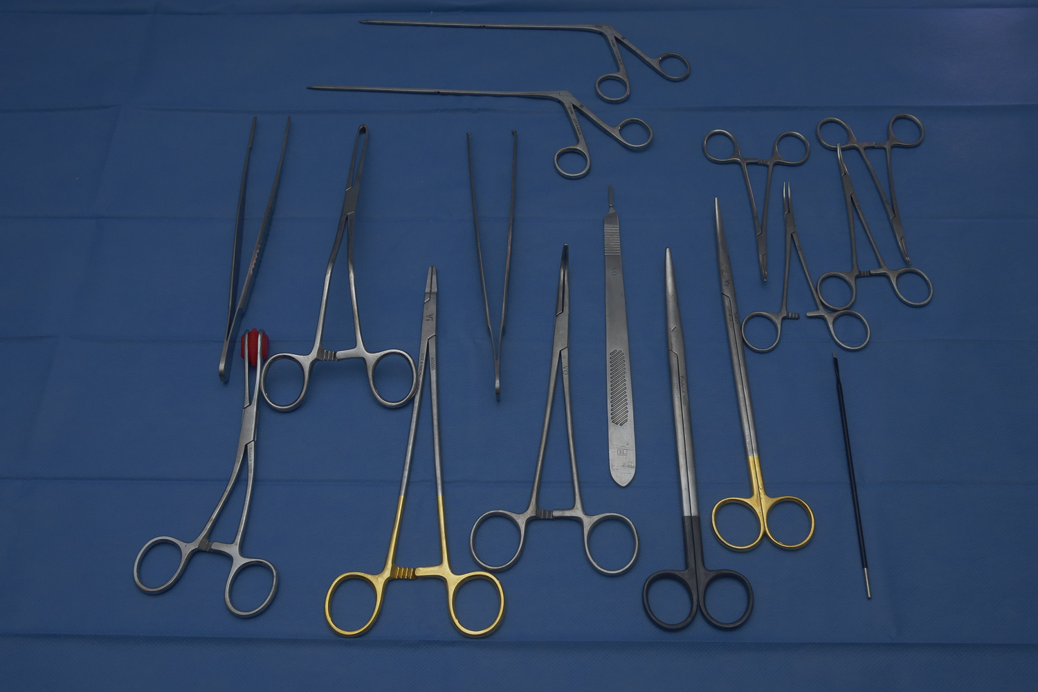 Veterinary surgical instruments including forceps, scissors, needle holders, and retractors used for soft-tissue and orthopaedic procedures.