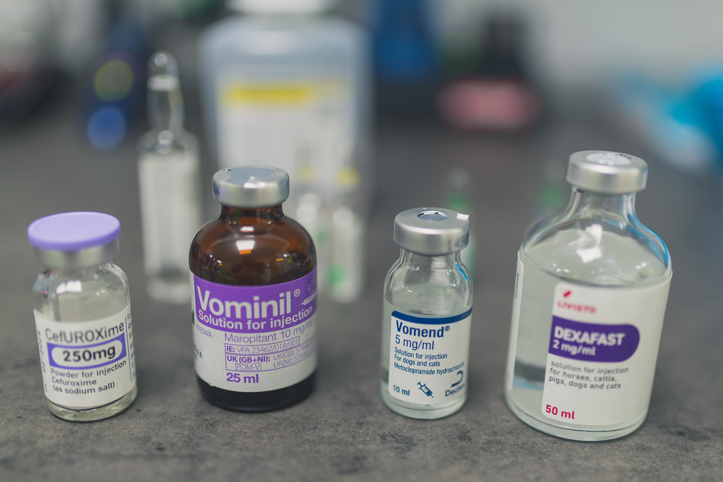 Anaesthetic medications prepared for BOAS surgery in a French Bulldog